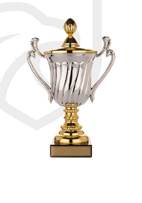 https://inmortales.es/wp-content/uploads/2022/11/trophy_overlay_02.jpg